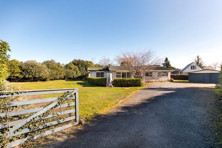 Photo of property in 137 Burns Street, Leamington, Cambridge, 3432