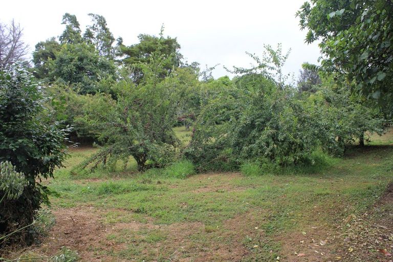 Photo of property in 81a Mcmillan Road, Tahawai, Katikati, 3170