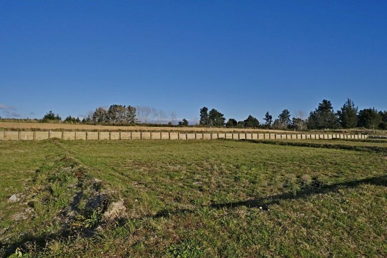 Photo of property in 47 Kopakopa Crescent, Wharewaka, 3330