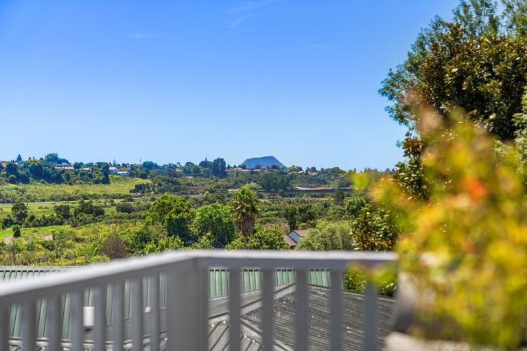 Photo of property in 24 Tom Muir Drive, Gate Pa, Tauranga, 3112