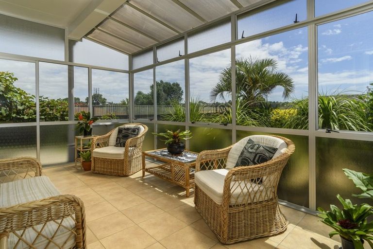 Photo of property in 113 Laurence Street North, Gate Pa, Tauranga, 3112