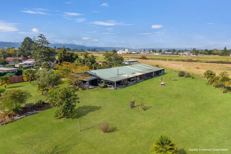 Photo of property in 6 Nikau Place, Edgecumbe, 3120
