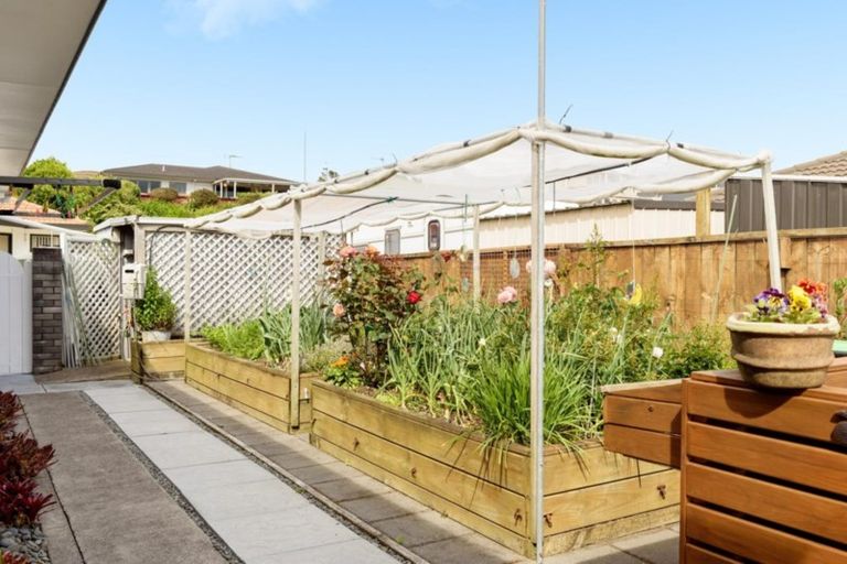 Photo of property in 30 Oleander Lane, Mount Maunganui, 3116