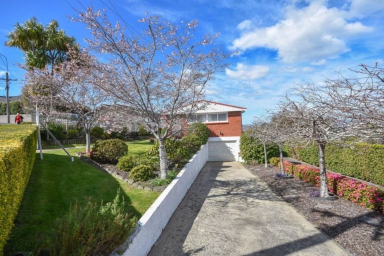 Photo of property in 11 Kenmure Road, Belleknowes, Dunedin, 9011