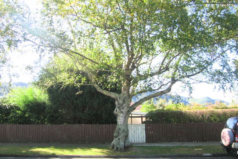 Photo of property in 53 Routley Crescent, Elderslea, Upper Hutt, 5018