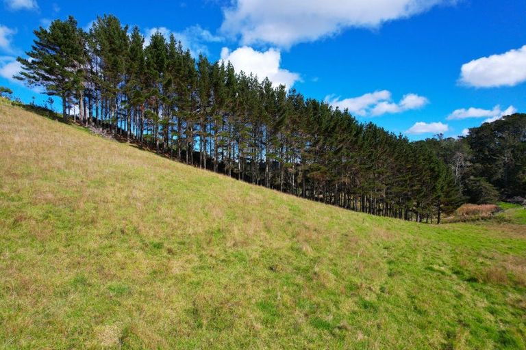 Photo of property in 1325 Te Maire Road, Te Kopuru, 0391