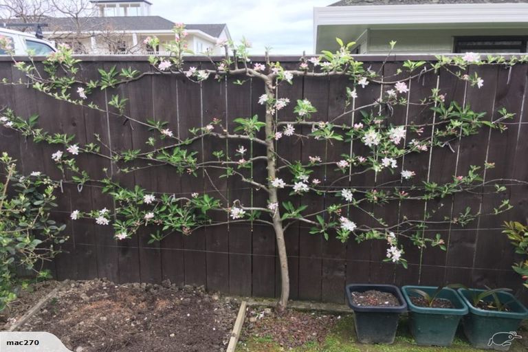 Photo of property in 3/152 Milton Street, The Wood, Nelson, 7010