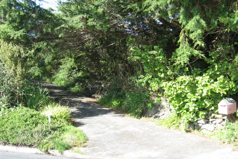 Photo of property in 213 Morningside Road, Morningside, Whangarei, 0110
