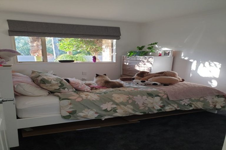 Photo of property in 255a Valley Road, Mangapapa, Gisborne, 4010