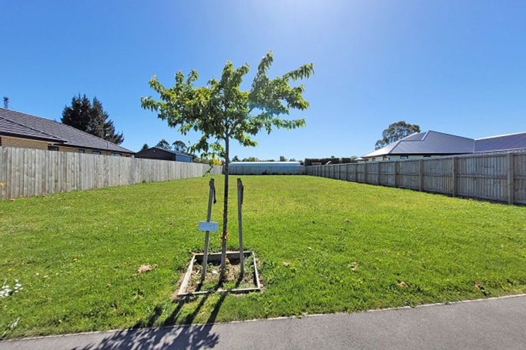 Photo of property in 29 Cressy Place, Darfield, 7510