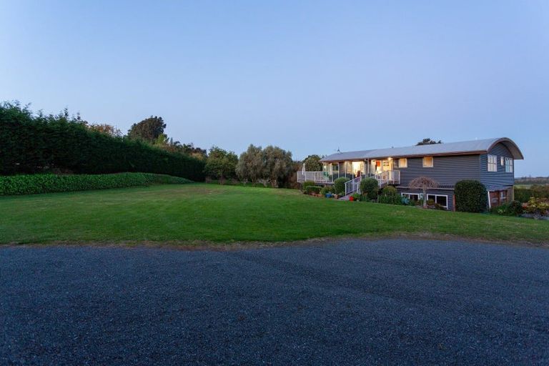 Photo of property in 38 Youngson Road, Whakamarama, Tauranga, 3180