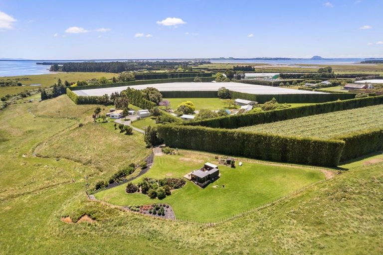 Photo of property in 115 Matahui Road, Aongatete, Katikati, 3181