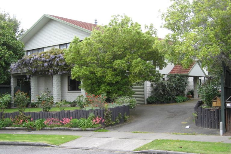 Photo of property in 17 Carlyle Crescent, Witherlea, Blenheim, 7201