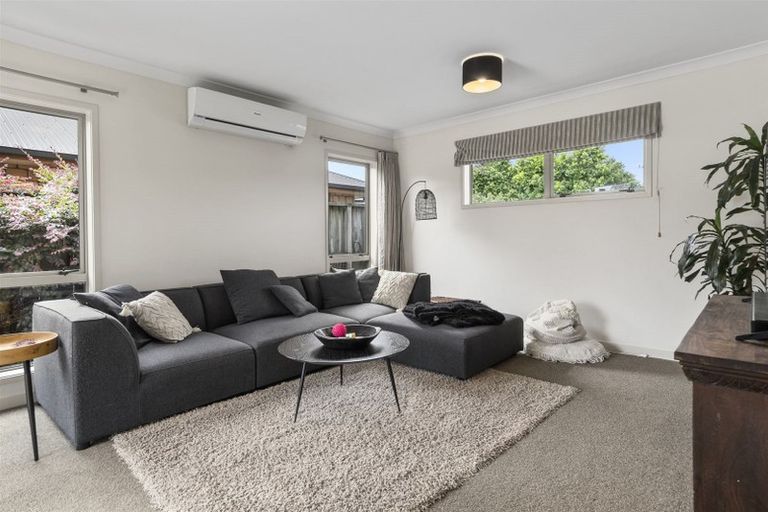 Photo of property in 121 Solomon Street, Brookfield, Tauranga, 3110