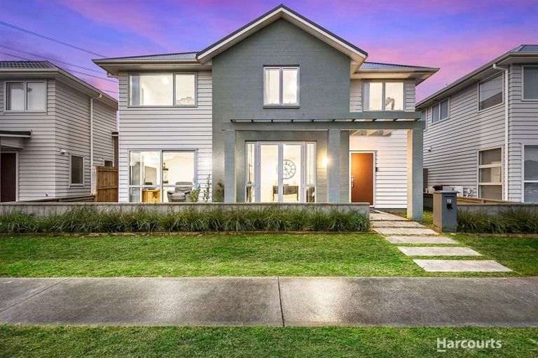 Photo of property in 12 Kauri Heart Avenue, Takanini, 2112