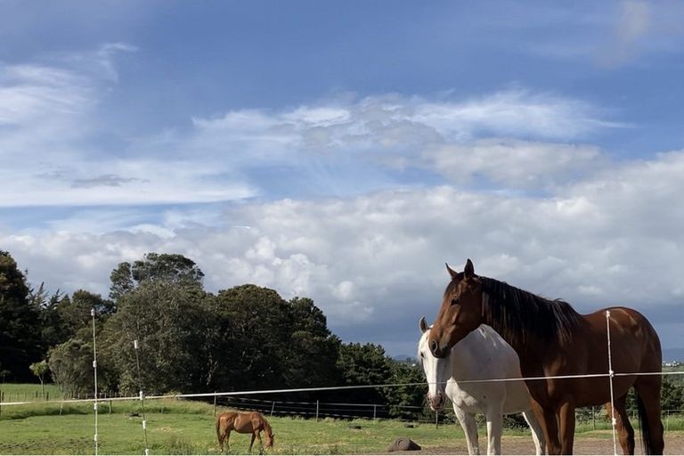 Photo of property in 123 Colville Road, Dargaville, 0377