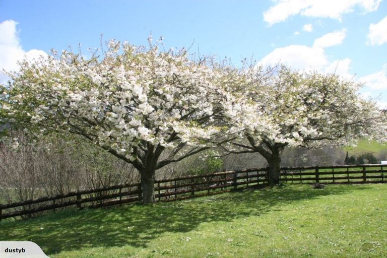 Photo of property in 812 Paradise Valley Road, Ngongotaha Valley, Rotorua, 3072