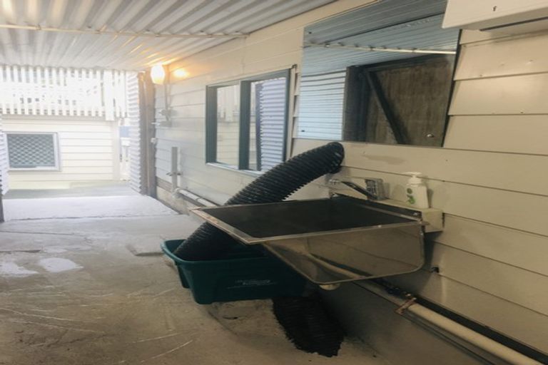 Photo of property in 4 Myrtle Crescent, Mount Cook, Wellington, 6021