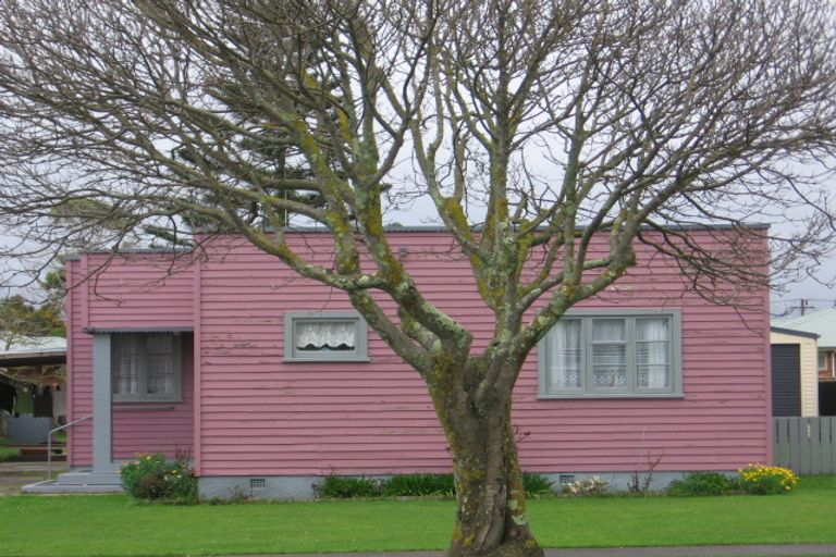 Photo of property in 17 Mckenzie Street, Levin, 5510