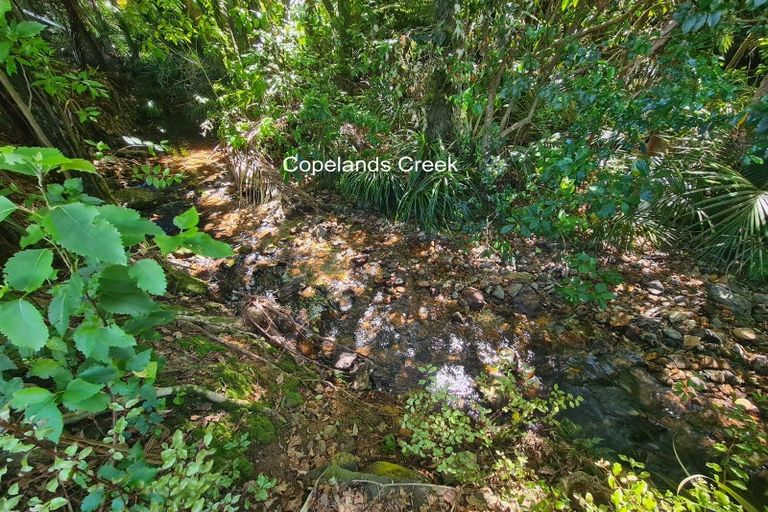 Photo of property in 30 Driving Creek Road, Coromandel, 3506