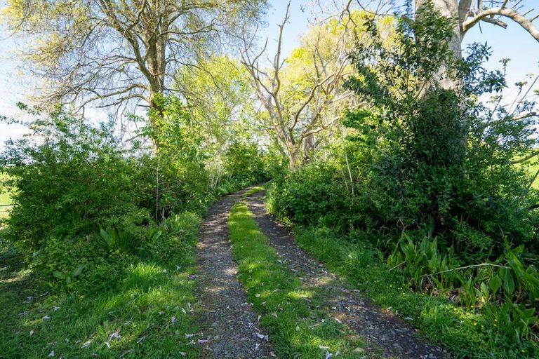 Photo of property in 1011 Arapuni Road, Arapuni, Putaruru, 3481