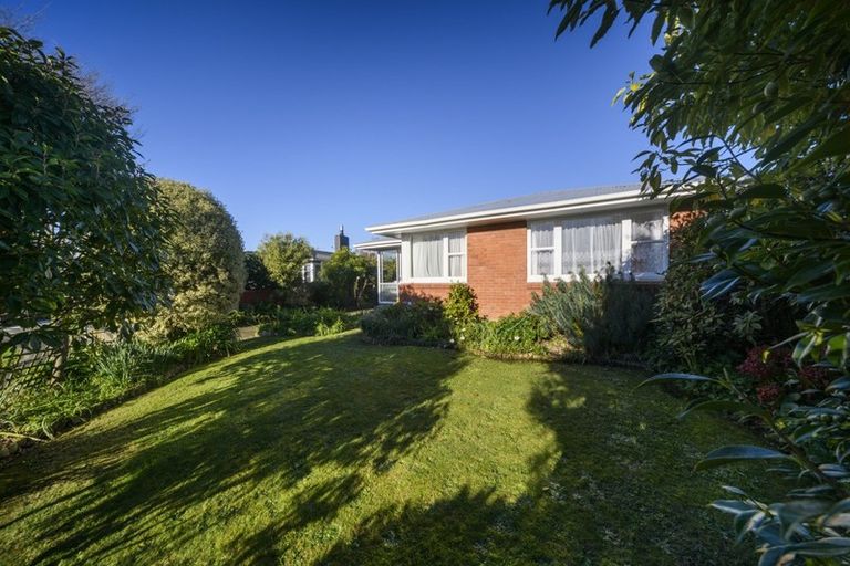 Photo of property in 8 Conway Place, Terrace End, Palmerston North, 4410