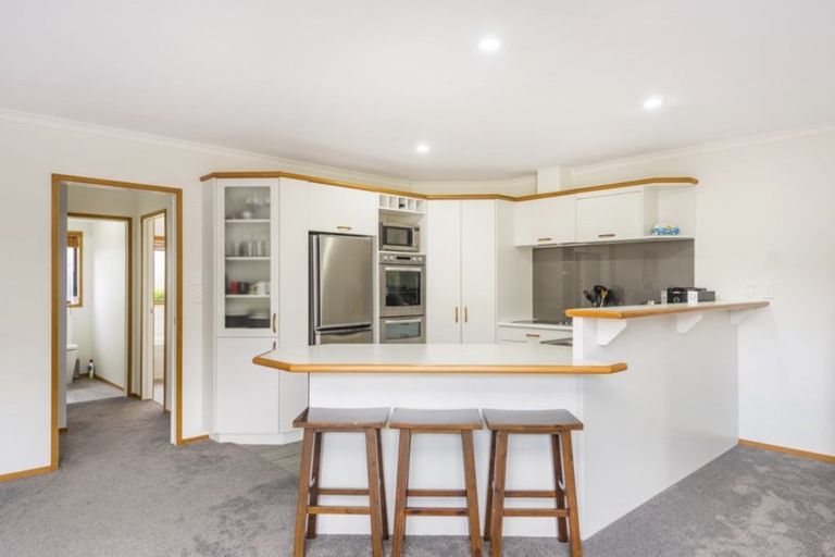 Photo of property in 19 Holford Place, Huntington, Hamilton, 3210