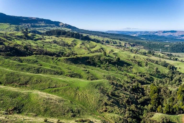 Photo of property in 3137 Taupo Road, Te Pohue, Napier, 4182