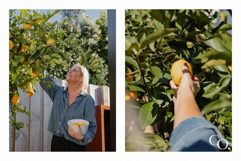 Photo of property in 17 Freyberg Street, Otumoetai, Tauranga, 3110