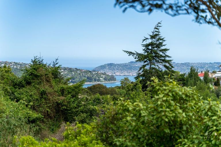 Photo of property in 50 Ellesmere Street, Ravensbourne, Dunedin, 9022