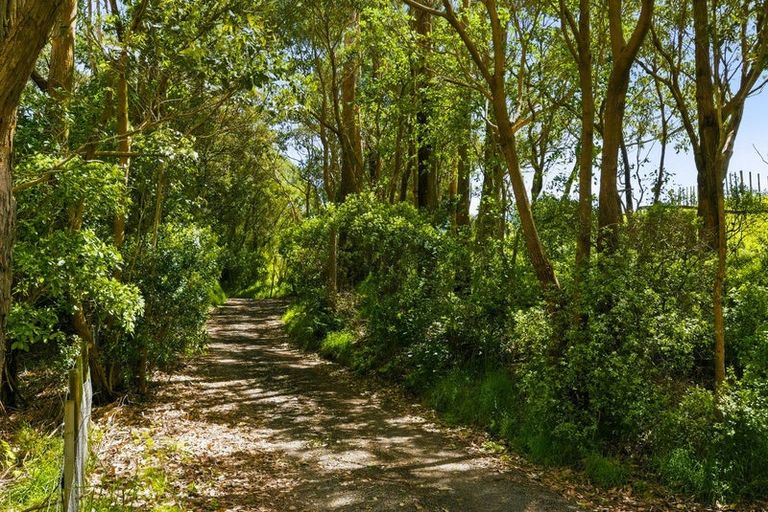 Photo of property in 340d Ngarara Road, Waikanae, 5391