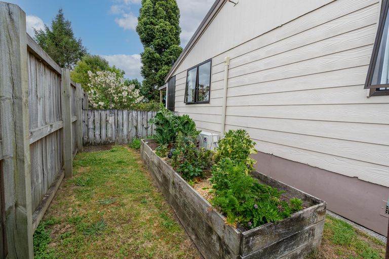 Photo of property in 70d Insoll Avenue, Enderley, Hamilton, 3214