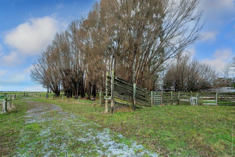 Photo of property in 135 Aitkens Road, Leeston, 7683