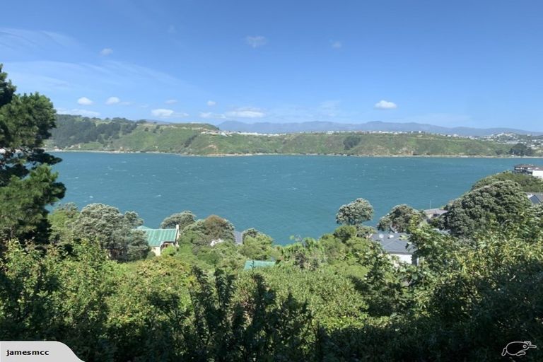 Photo of property in 157 Grafton Road, Roseneath, Wellington, 6011