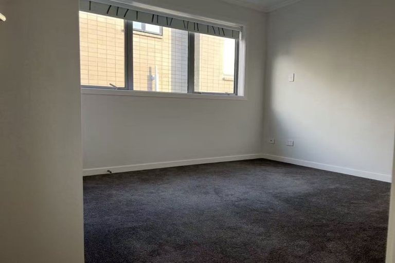Photo of property in 119 Argento Avenue, Flat Bush, Auckland, 2019