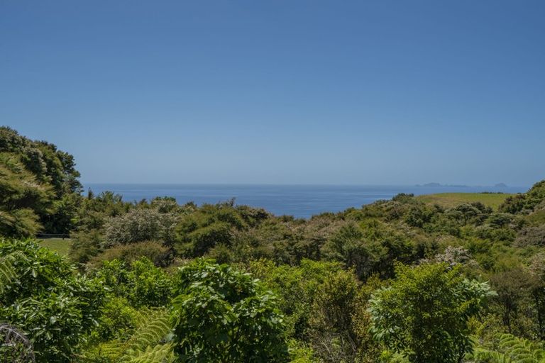 Photo of property in 595 Boat Harbour Road, Whenuakite, Whitianga, 3591