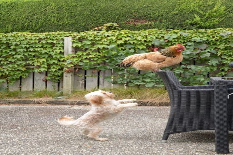 Photo of property in 76 Sunderland Street, Clyde, 9330