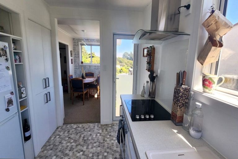 Photo of property in 17 Signal Hill Road, Opoho, Dunedin, 9010