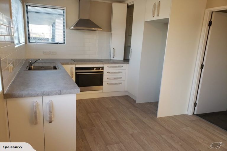 Photo of property in 19 Penion Drive, Flat Bush, Auckland, 2023