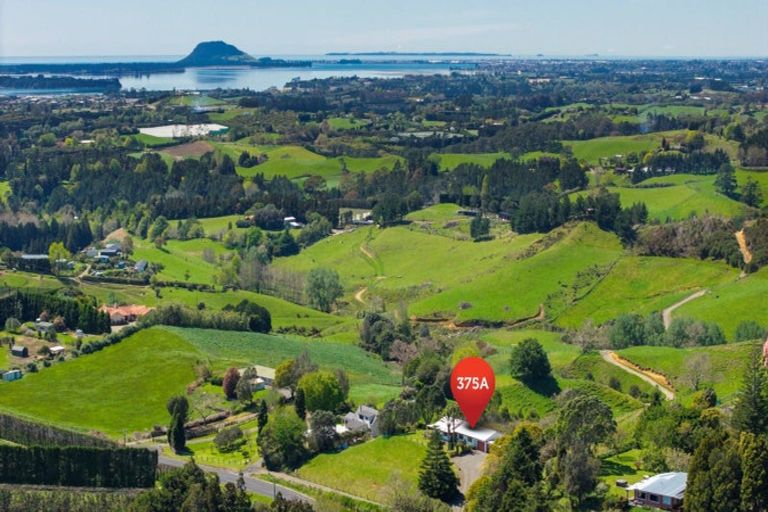 Photo of property in 375a Esdaile Road, Whakamarama, 3180