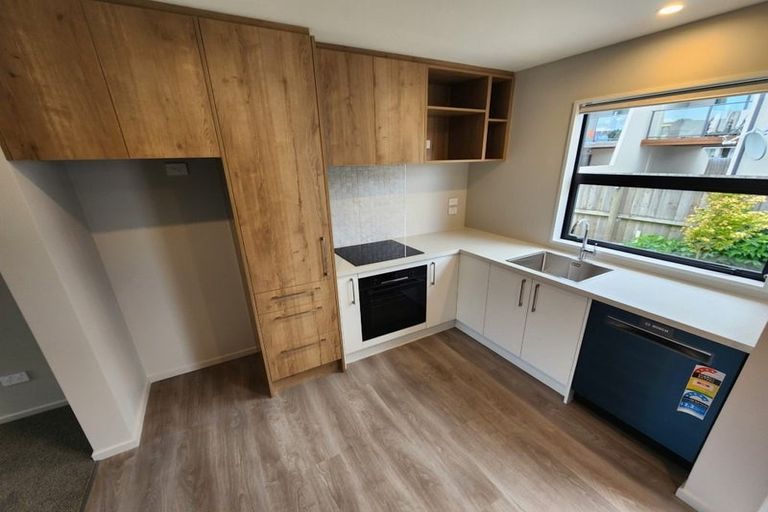 Photo of property in 87b Bordesley Street, Phillipstown, Christchurch, 8011