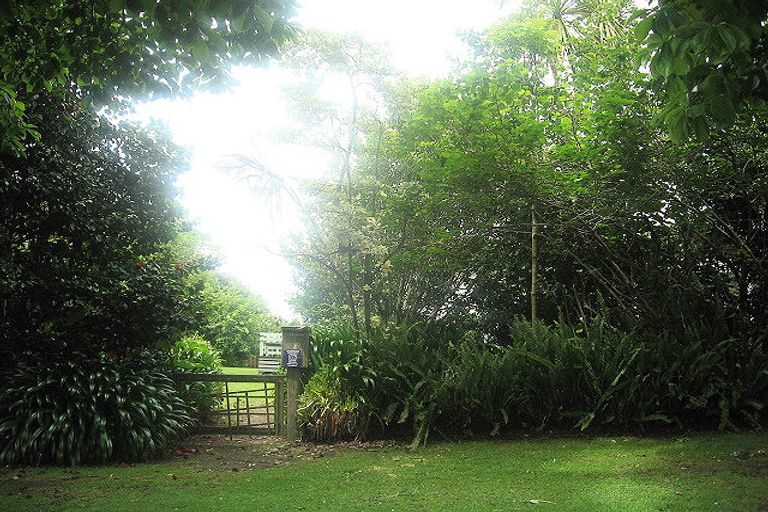 Photo of property in 6 Hastings Street, Te Puke, 3119