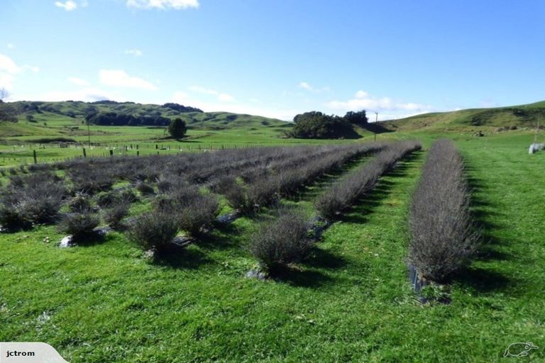 Photo of property in 1047 Wairehi Road, Wharepuhunga, Te Awamutu, 3874