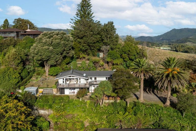 Photo of property in 49 Wood Street, Paeroa, 3600