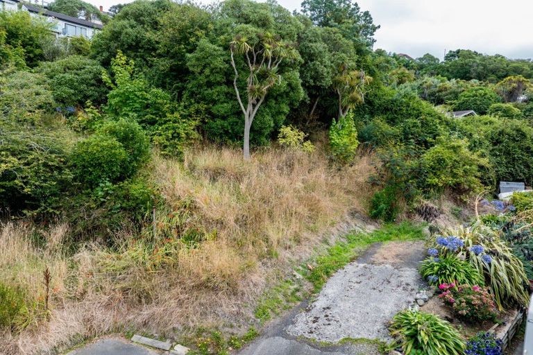 Photo of property in 108a Bedford Street, Saint Clair, Dunedin, 9012