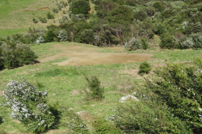 Photo of property in 2043 The 309 Road, Kaimarama, Whitianga, 3591