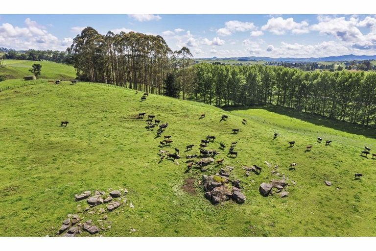 Photo of property in 80 State Highway 3, Piopio, 3970