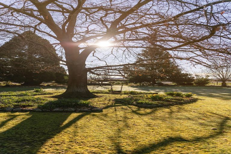 Photo of property in 563 Orari Station Road, Geraldine, 7992