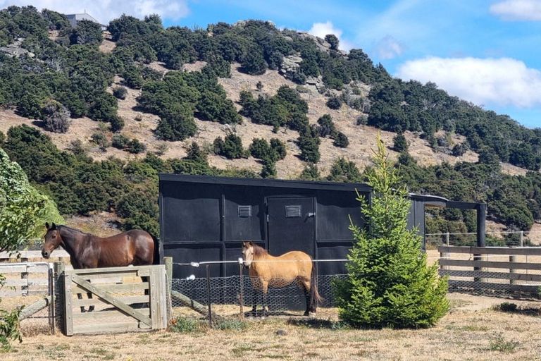 Photo of property in 55 Totara Place, Queensberry, Cromwell, 9383