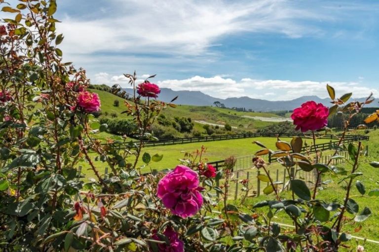Photo of property in 43 Stewart Road, Whakamarama, Katikati, 3181